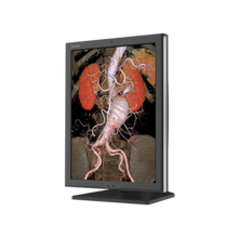 Afbeelding in Gallery-weergave laden, Jusha C270G 2MP Color Medical Diagnostic Display