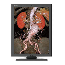 Charger l'image dans la visionneuse de galerie, Jusha C350G Medical Diagnostic Display