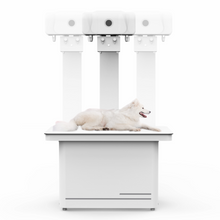 Load image into Gallery viewer, Veterinary X-ray Solution  vDR332V
