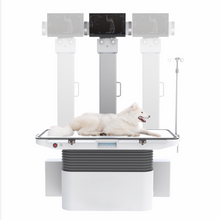 Load image into Gallery viewer, Veterinary X-ray Solution   vDRF832
