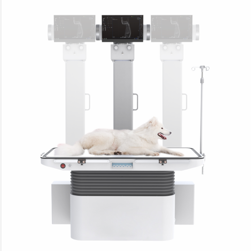 Veterinary X-ray Solution vDRF832 – Cloudberry International